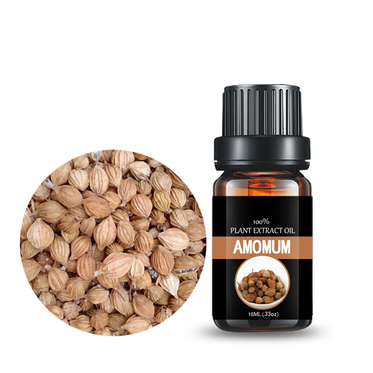 Global Exporter perfume oil essential oils in bulk factory price Natural Wholesale bulk natural amomum leaf oil Jiangxi