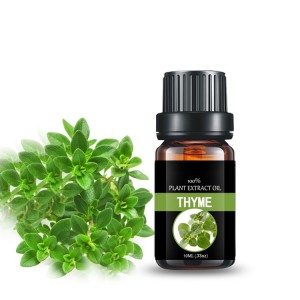 Global exporter of  thyme essential oil for food,  cosmetics and skincare oils