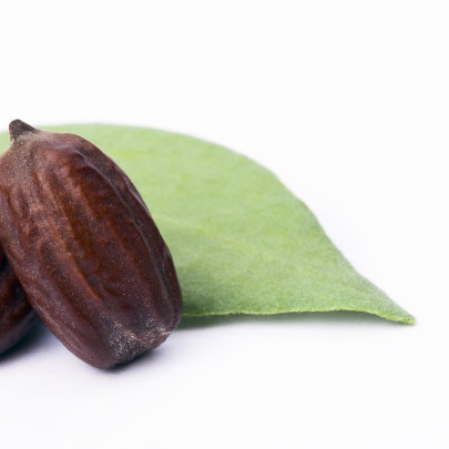 Factory Cheap Hot 100 Tea Tree Oil On Skin - Pure Natural Jojoba Oil Bulk Organic – Baicao