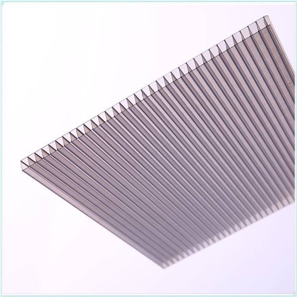 Reliable Supplier Glittery Polycarbonate Panel - Transparent Lexan PC Twin-Wall Sheet – JIAXING