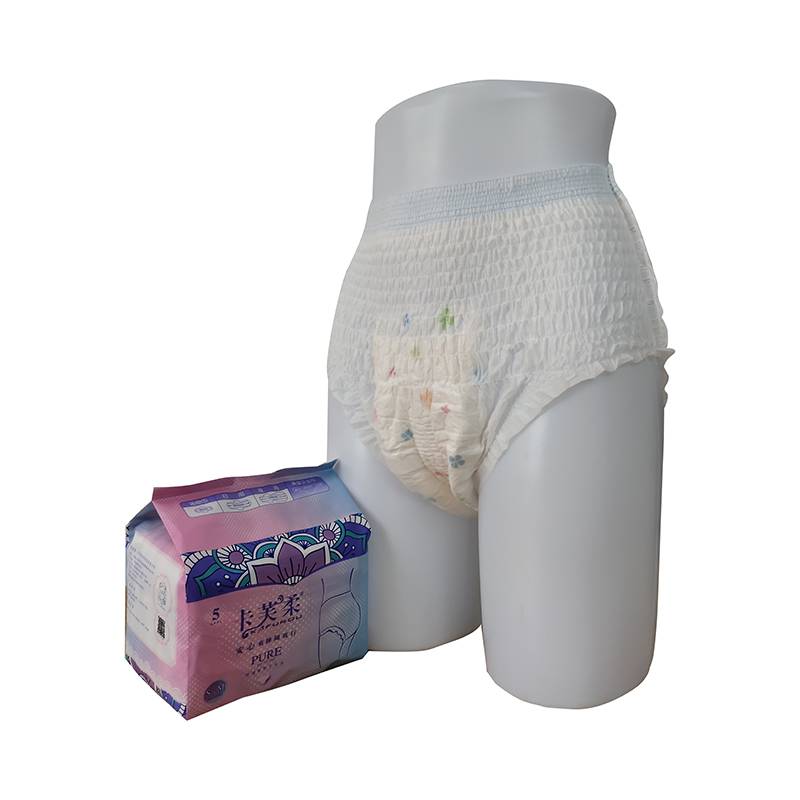 Wholesale Price China Disposable Briefs Ultra Absorbency - Safe Disposal Feminine Products Female Menstrual Pads with Pants – Yoho