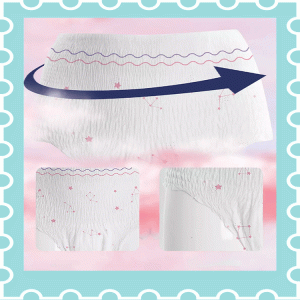 Menstrual Period Underwear Sanitary Napkin