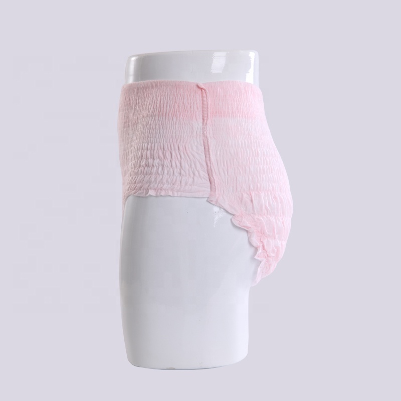 Sanitary Napkin Panty Type