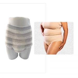 What is Disposable Menstrual Period Pants?