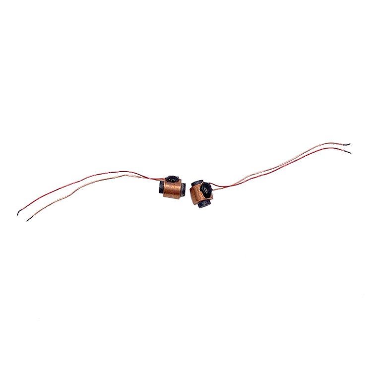 Chinese wholesale Inductor Toy Coil - electromagnetic coil miniature induction coil – Golden Eagle