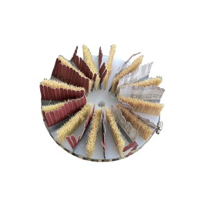 Factory wholesale Roller Brush Manufacturers - Custom size disc sanding brush with imported sandpaper – Jiazhi