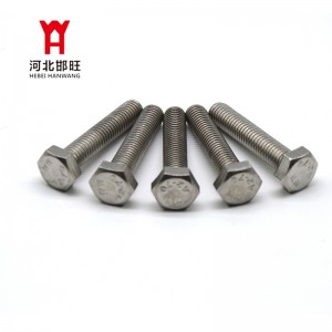 OEM China Metric Bolts Factories - Metric DIN 933 Hexagon Head Cap Screws / Bolts Full Thread  – Hebei HanWang