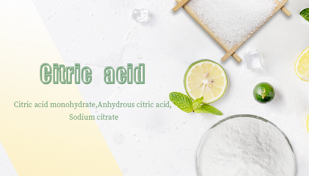 Current Situation and Forecast of Citric Acid Market