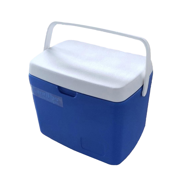 High definition Blood Center Refrigerator - Ice Box – 6L – Carebios