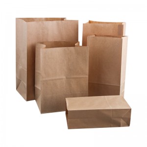 Take Away Kraft Paper Bag