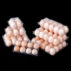 Wholesale Disposable Plastic Duck Chicken Geese Egg Packaging Tray