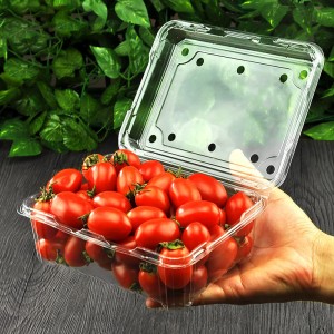 OEM Service 100% PLA Biodegradable Compostable Clear Hinged Vegetable Fruit Clamshell Box