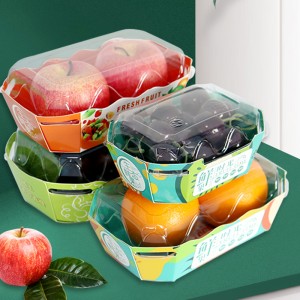Colorful Fruit Paper Tray