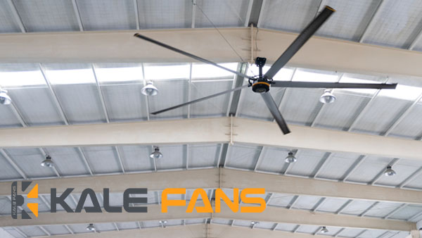 The Benefits of HVLS Fans in Fitness Centers and Gyms