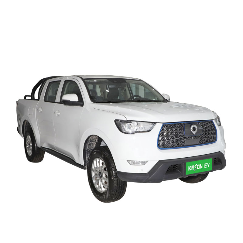 Wholesale Wholesale Electric Car Electric Suv Great Wall poer small