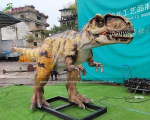 Buy Life Size Dinosaur Animatronic Customized Yangchuanosaurus AD-157