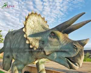 Buy Realistic Dinosaur Animatronic Dinosaur Triceratops