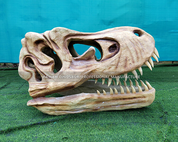 Buy Realistic Dinosaur Fossil Head T-Rex Skeleton Skull Replica Customized for Park Decorations SR-1828