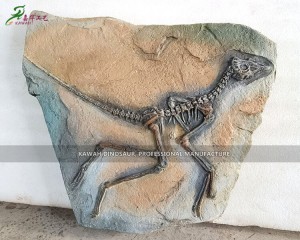 Customized Museum Quality Dinosaur Skeleton Replicas Simulation Dinosaur Bones for Dinosaur Park SR-1825