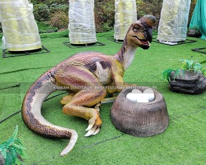Customized Oviraptor Statue Animatronic Dinosaurs Life Size Dinosaurs Kawah Factory AD-176