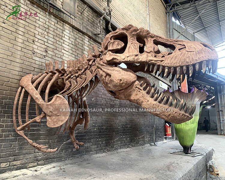 Factory Sale Realistic T-Rex Skull Replica Skeleton Half-Length Customized SR-1822