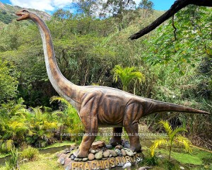 Giant Long Neck Dinosaur Animatronic Brachiosaurus Factory Sale AD-108