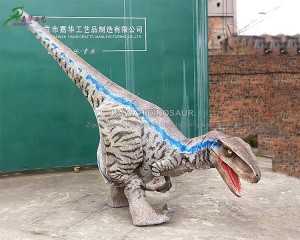 China Animatronics Walking Dinosaur Suppliers –  Hidden Legs Realistic Animatronic Dinosaur Costume Velociraptor  – KaWah