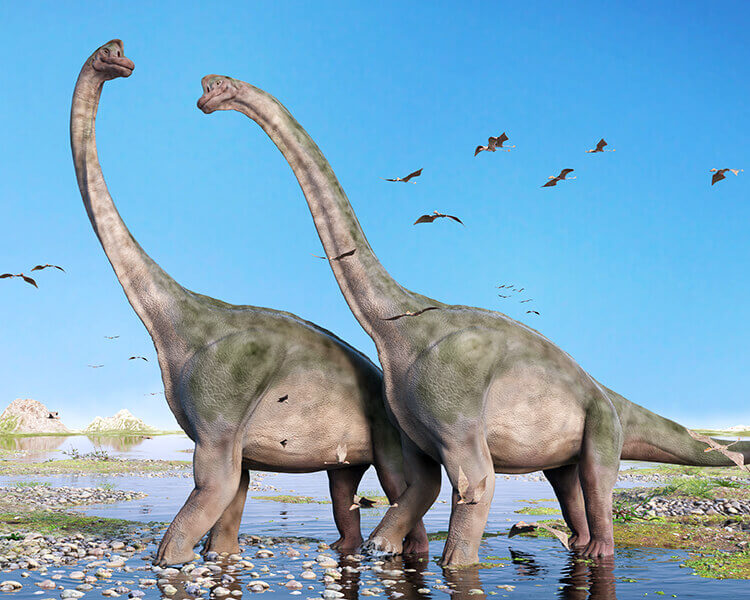 How long did dinosaurs live? Scientists gave an unexpected answer.
