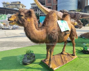 Life Size Camel Statue Realistic Animatronic Animals Simulated Riding Animal Factory Customized AA-1265