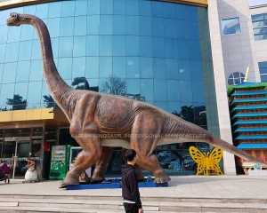 Museum Quality Dinosaur Models Brachiosaurus Animatronic Dinosaur for Sale AD-058