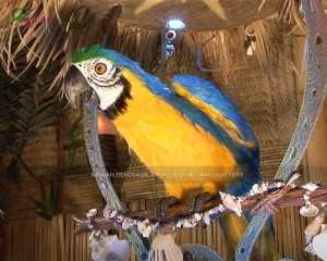 China Animatronic Dinosaur Rides Factory –  Realistic Parrot Bird Statue Customized  – KaWah