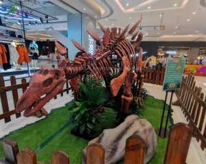 OEM Large Dinosaur Supplier –  Artificial Static Stegosaurus Dinosaur Fossil Realistic Dinosaur Replicas for Shopping Mall  – KaWah