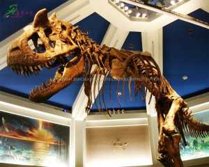 Wholesale Life Size Dinosaur Costume Factories –  Big Carnotaurus Replica Dinosaur Skull Replica Realistic Dinosaur Fossils for Sale  – KaWah