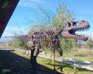 OEM Dinosaur Skeleton Exhibit Companies –  Factory Artificial Customized Outdoor Dinosaur Replicas T-Rex Skull Replica 8 Meter Long for Sale  – KaWah