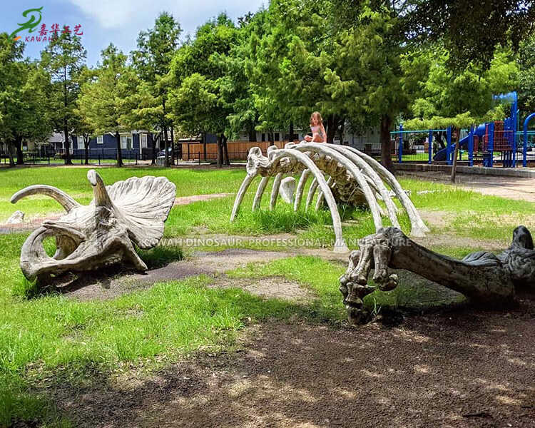 Dinosaur Park Products Display Dinosaur Skull Replica Custom for Outdoor Exhibitions SR-1809