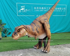 China Factory Sale Realistic Animatronic Dinosaur Costume T-Rex Costume Man Control DC-938