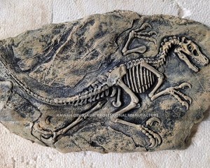 Dinosaur T-Rex Skeleton Replicas