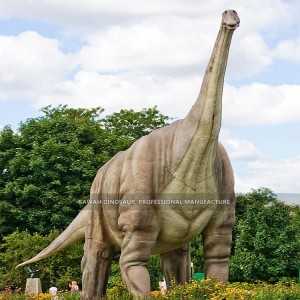 Giant Dinosaur Model Long Neck Dinosaur Ruyangosaurus Realistic Dinosaur AD-055