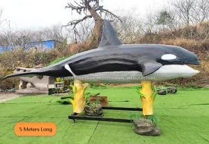 Killer Whale Realistic Whale Animatronic Shark Model Customized With Movements AM-1663