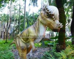 Life Size Dinosaur Pachycephalosaurus Animatronic Dinosaur Customized AD-162