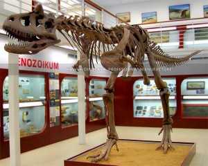 Big Carnotaurus Replica Dinosaur Skull Replica Realistic Dinosaur Fossils for Sale SR-1815