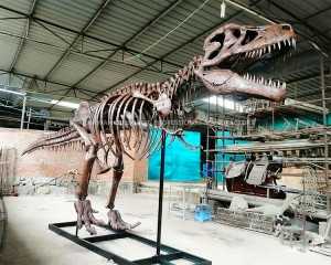 Factory Artificial Customized Outdoor Dinosaur Replicas T-Rex Skull Replica 8 Meter Long for Sale SR-1817