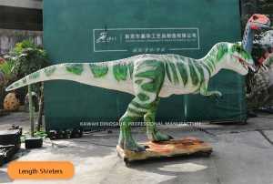 5 Meters Life Size Dinosaur Statue Piatnitzkysaurus Customized Animatronic Dinosaur AD-091