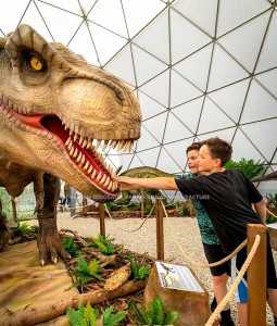 Buy Animatronic Dinosaur Life Size Dinosaur T Rex Dinosaur Statue for Dino Zoo AD-009