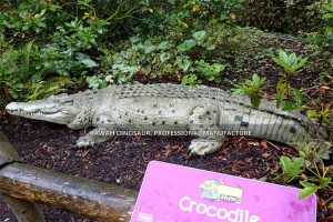 Buy Zoo Park Decorations Animatronic Animal Customized Life Size Crocodile Statue