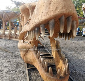 Customized Giant 9 Meters Long Simulation T-Rex Skeleton Fossil Replica for Park Display SR-1830