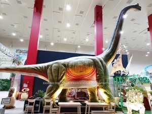 Dino Park Brachiosaurus Dinosaurio Animatronic Life Size Dinosaur for Sale AD-056