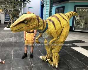 Realistic Dinosaur Costume Velociraptor Costume Customized for Park Show DC-937