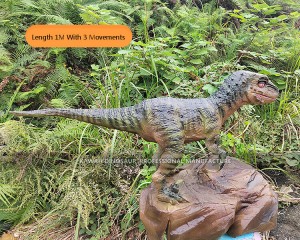 Realistic One-meter Length Velociraptor Dinosaur Animatronic with 3 Movements Customized Kawah Dinosaur AD-174
