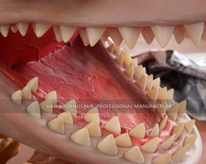 Realistic Shark Model Animatronic White Shark with Movements and Sounds Factory Customized AM-1654